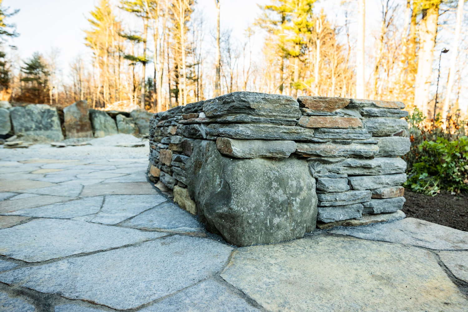 Featured Project: Forgotten Forest