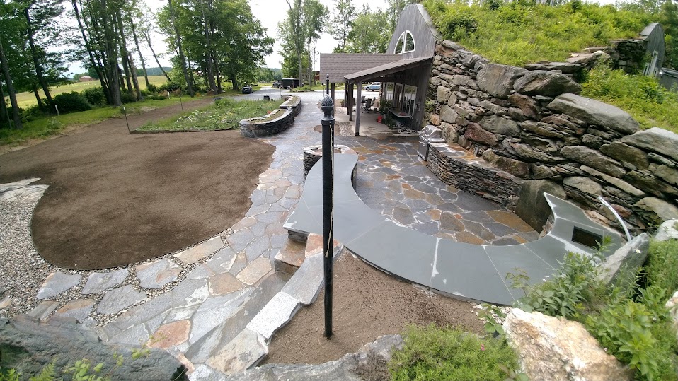 Featured Project: Forgotten Forest